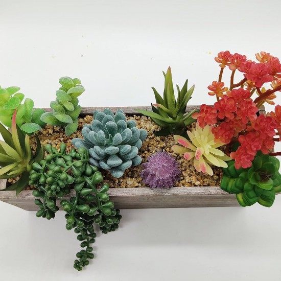 Plants Wooden Pots 